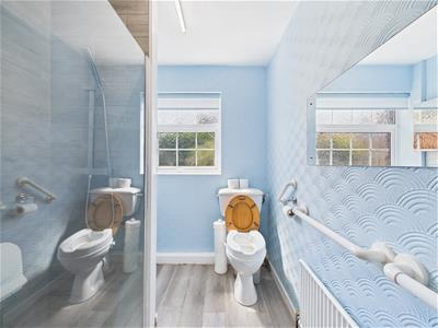 Picture 8